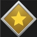 Associate Level 3