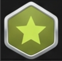 Professional Level 3