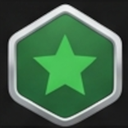 Professional Level 4