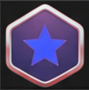 Professional Level 6