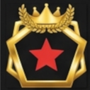 Industry Fellow Level 1