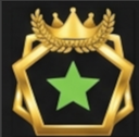 Industry Fellow Level 4