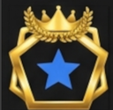 Industry Fellow Level 5
